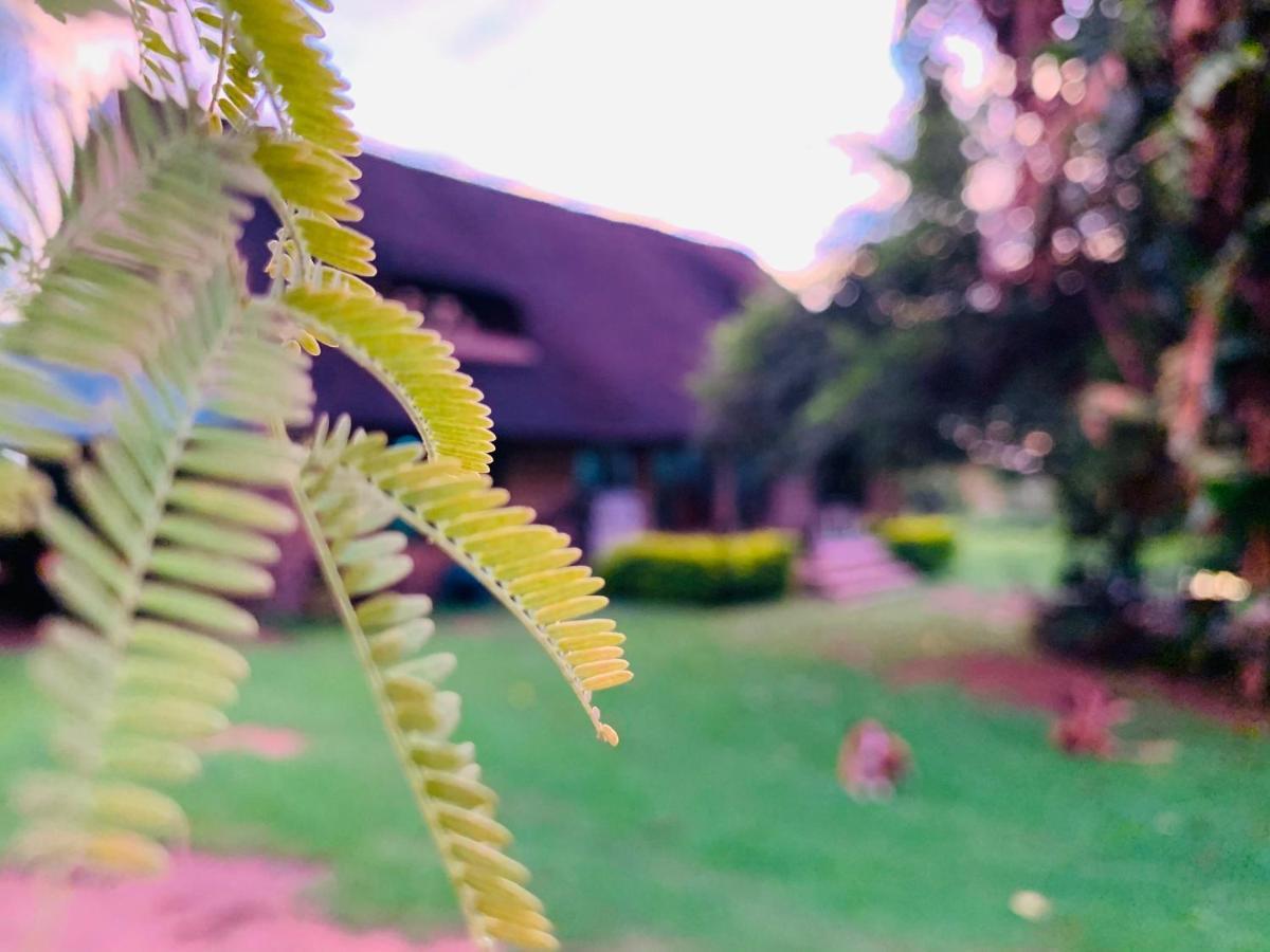 Farm Vibes Guesthouse Brits Esterno foto