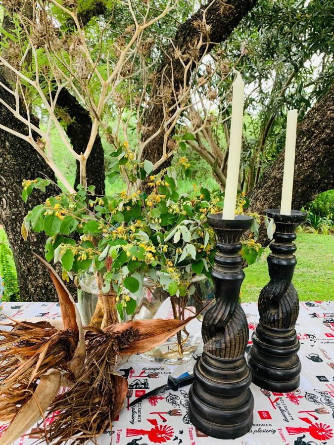 Farm Vibes Guesthouse Brits Esterno foto